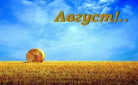 Сейчас август месяц