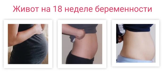 18 недель б. Живот на 18 неделе беременности. Живот при беременности 18 недель. Животик на 18 неделе беременности.