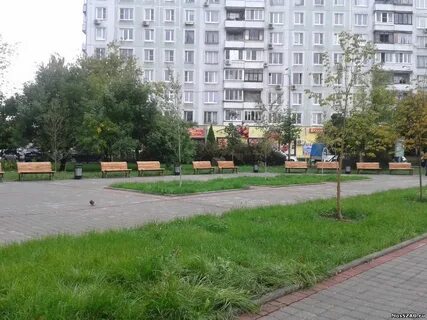 1 химкинский
