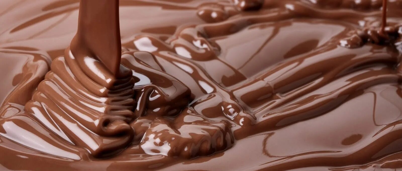 C and a chocolate