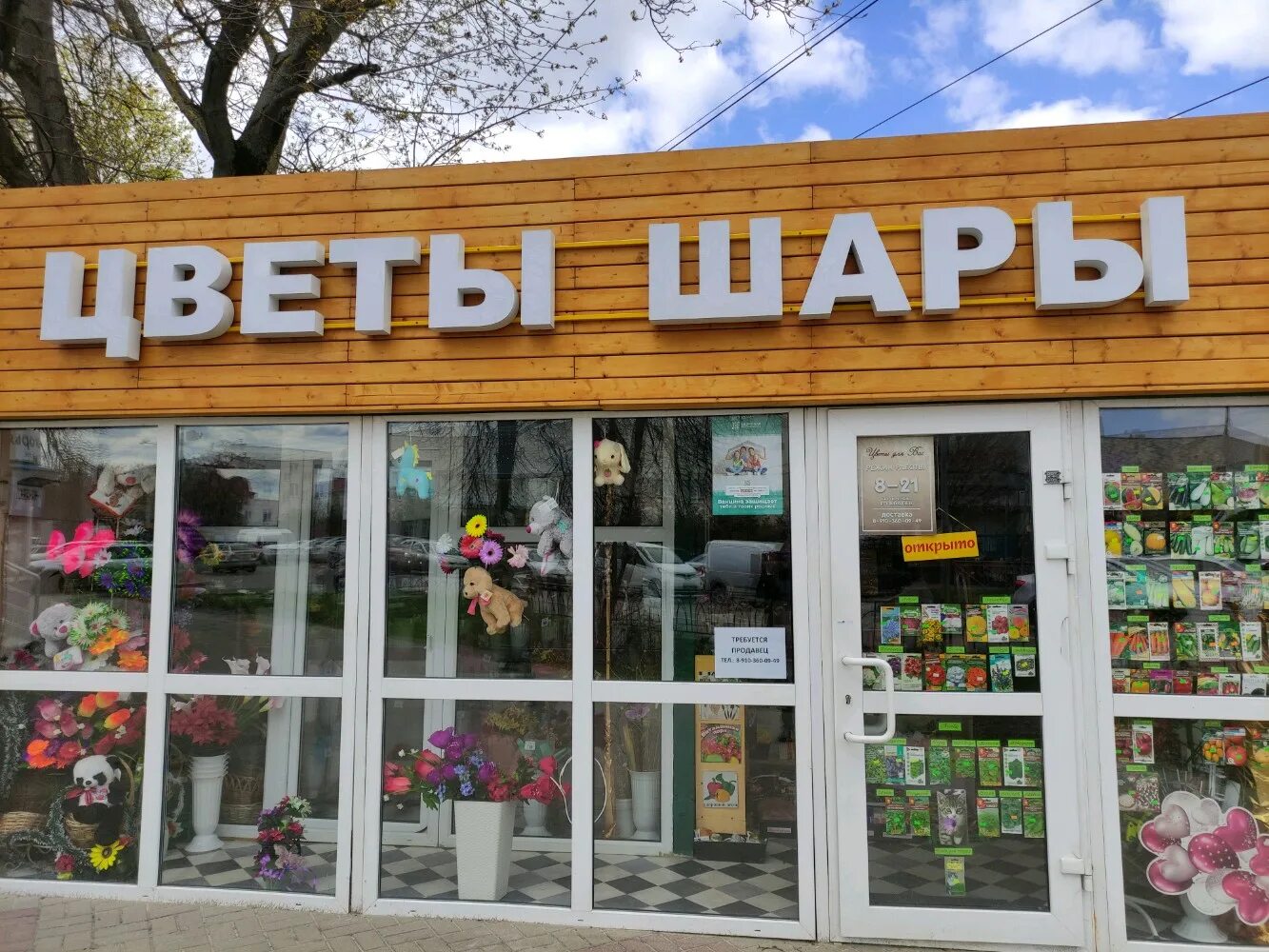 белгород улица победы 75 королева роз