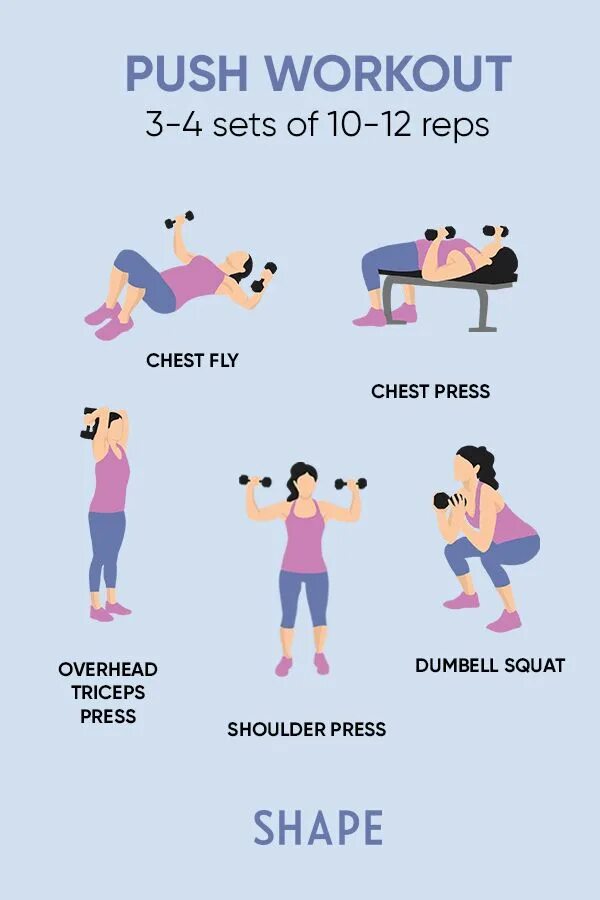 Pull exercises. Push pull упражнения. push workout. pull workout. push pull legs routine.