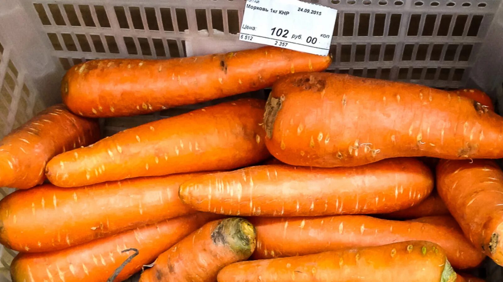 10 килограмм моркови. Морковь на рынке. Морковь кг. Килограмм моркови. Морковь импортная.