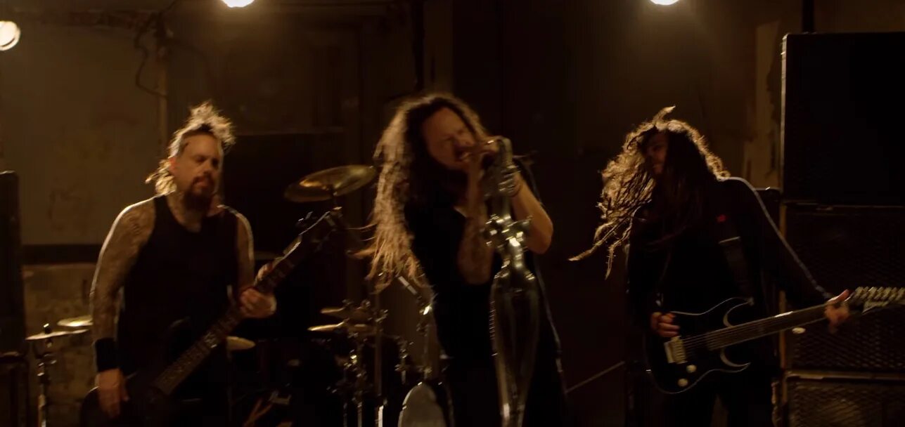 Korn rotting. Korn rotting in vain. korn the serenity of suffering. korn the serenity of suffering обложка. in vain.