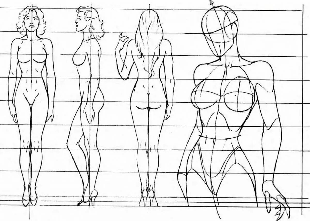 Построение тела человека пропорции. Пропорции тела человека анатомия. Пропорции тела человека в профиль. Пропорции женского тела для рисования. Картинки по параметрам найти