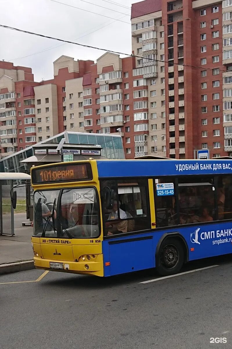 101 Автобус Кронштадт. Автобус 101 Санкт-Петербург Кронштадт. Автобус 101 до Кронштадта. Автобус 101 Санкт-Петербург Кронштадт маршрут.