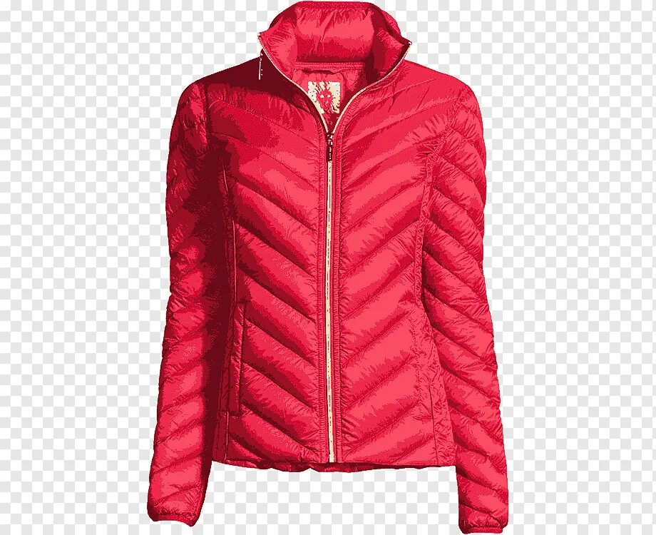 Куртка пнг. Куртка женская вектор. Модные куртки вектор. Куртка женская PNG. Красная куртка вектор.