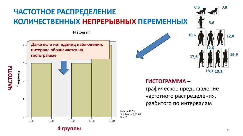 Частотное распределение. Количественные переменные в статистике. Частотное распределение в статистике. Виды переменных в статистике.