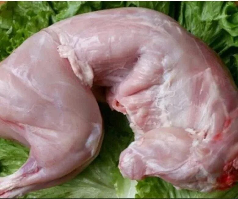 Окорочок кролика. Мясо кролика филе. Ушки кролика. Крольчатина. Мясо кролика в новосибирске.