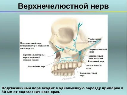 Мало нервов