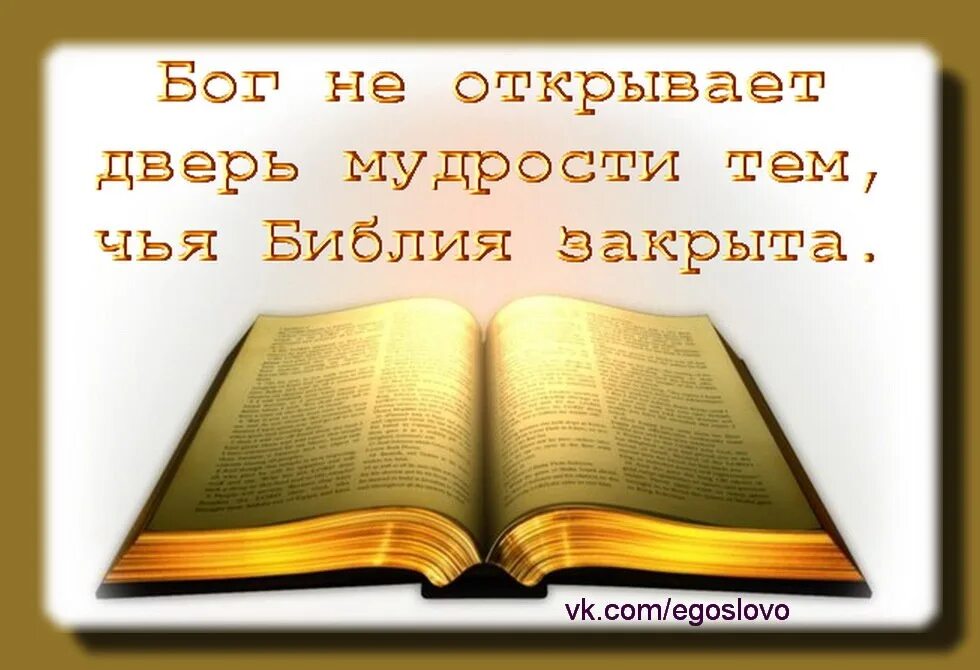 Любовь к Отечеству сквозь таинство страниц. Мудрость Библия. Мудрости из Библии. Ибо я не стыжусь благовествования Христова.