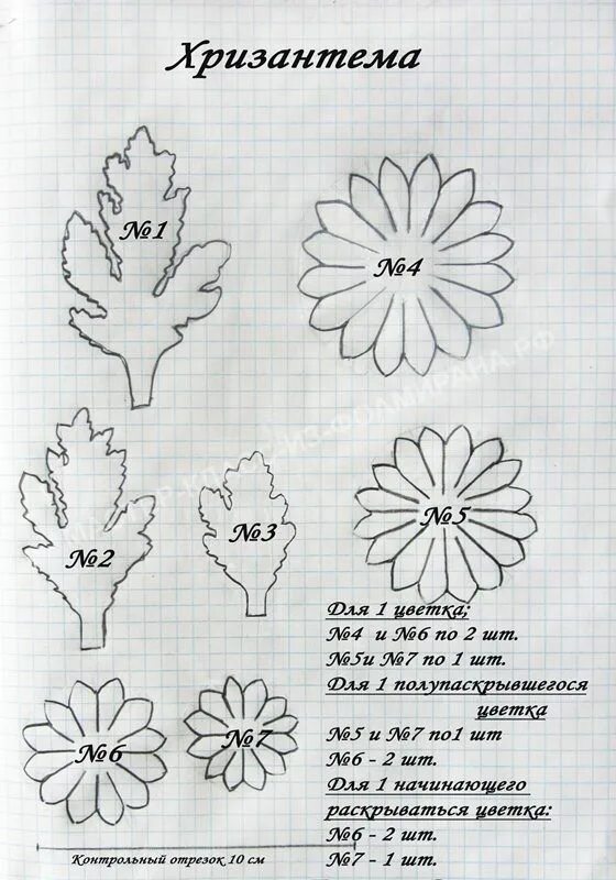 Шаблон хризантемы. Выкройки цветов. Выкройки цветов из фоамирана. Эскиз цветов из фоамирана. Шаблоны цветов из фоамирана Хризантема.