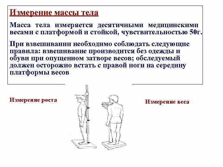 Алгоритм массы тела