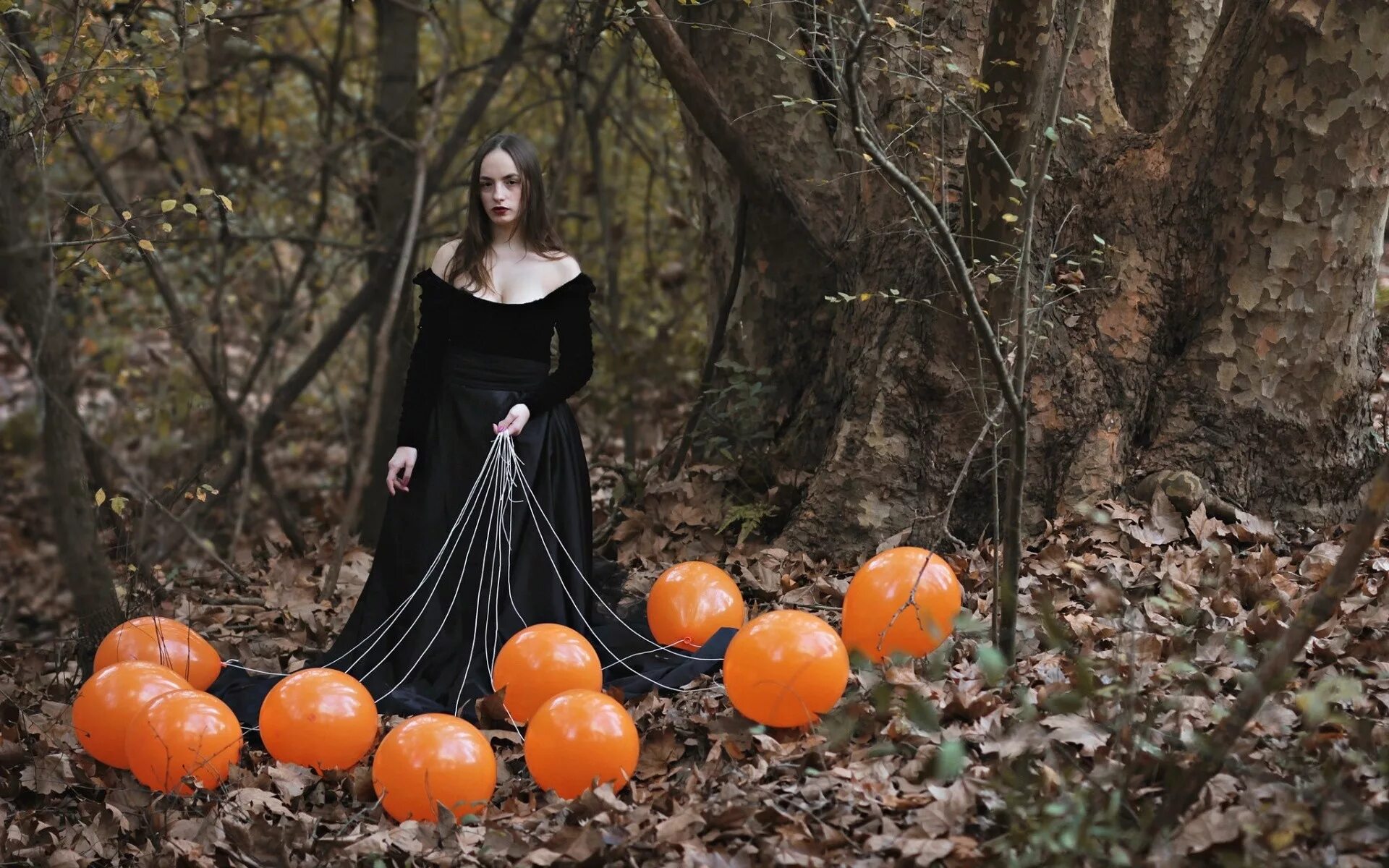 Halloween harem
