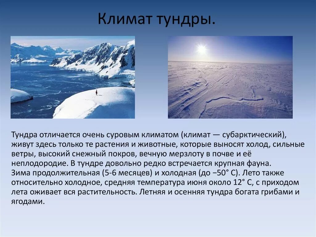 Какая природная зона за полярным кругом. Климат тундры. Климатические условия тундры. Зона арктических пустынь климатические условия. Природно климатические условия тундры.