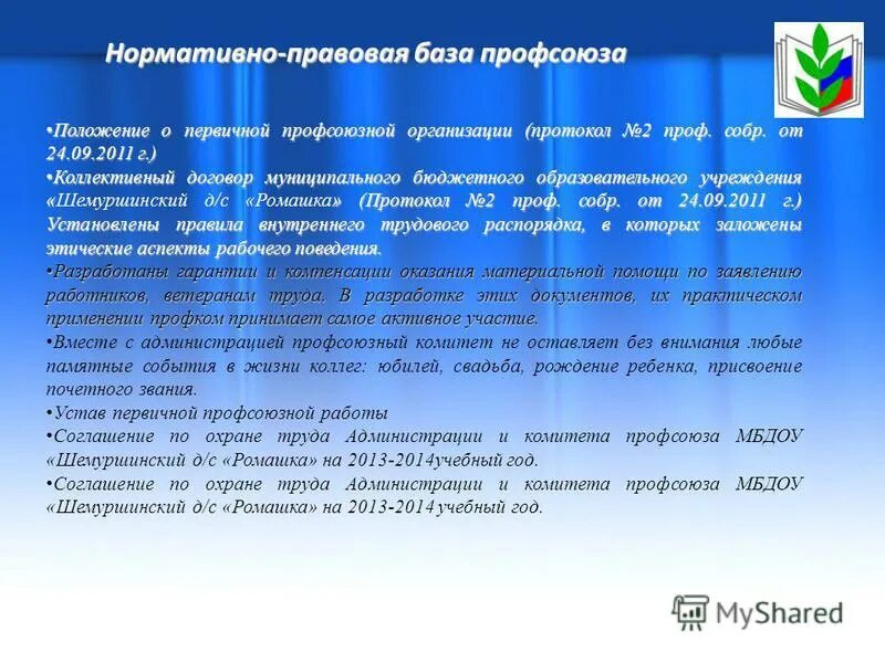 Положение профсоюзной организации. Положение о профсоюзе. Устав (положение) о первичной профсоюзной организации. Положение о премировании членов профсоюза. Документы профкома.