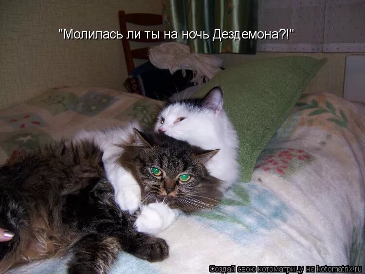 Молилась ли на ночь дездемона откуда. Молилась ли на ночь дездемона откуда. Ты молилась на ночь дездемона. Молилась на ночь дездемона. Молилась ли на ночь дездемона откуда.