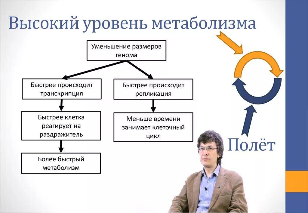 Метаболизм это простыми словами у женщин. Высокий метаболизм симптомы. Высокий уровень метаболизма. Быстрый и медленный метаболизм. Усиленный обмен веществ это что.