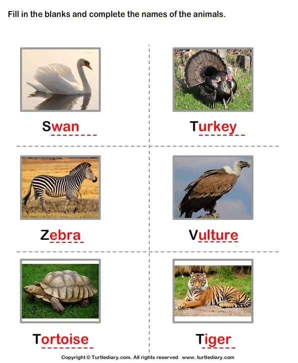 Write the names of the animals. Complete the names of the animals. complete the names of the animals 5 класс ответы. complete the names of the animals g_e.