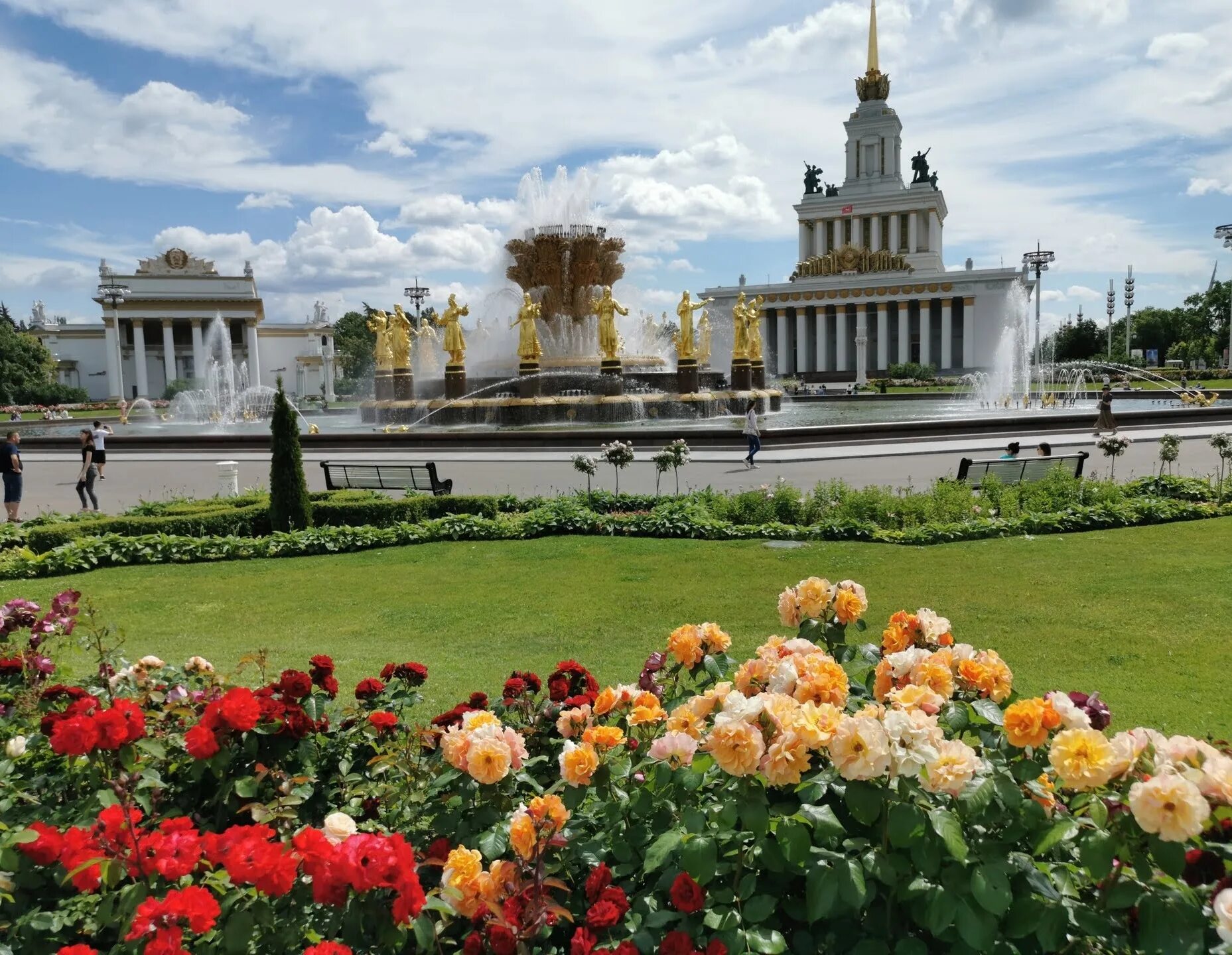 Парк ВДНХ Москва. ВДНХ Москва лето. Природа Москва лето ВДНХ. Вднх городок