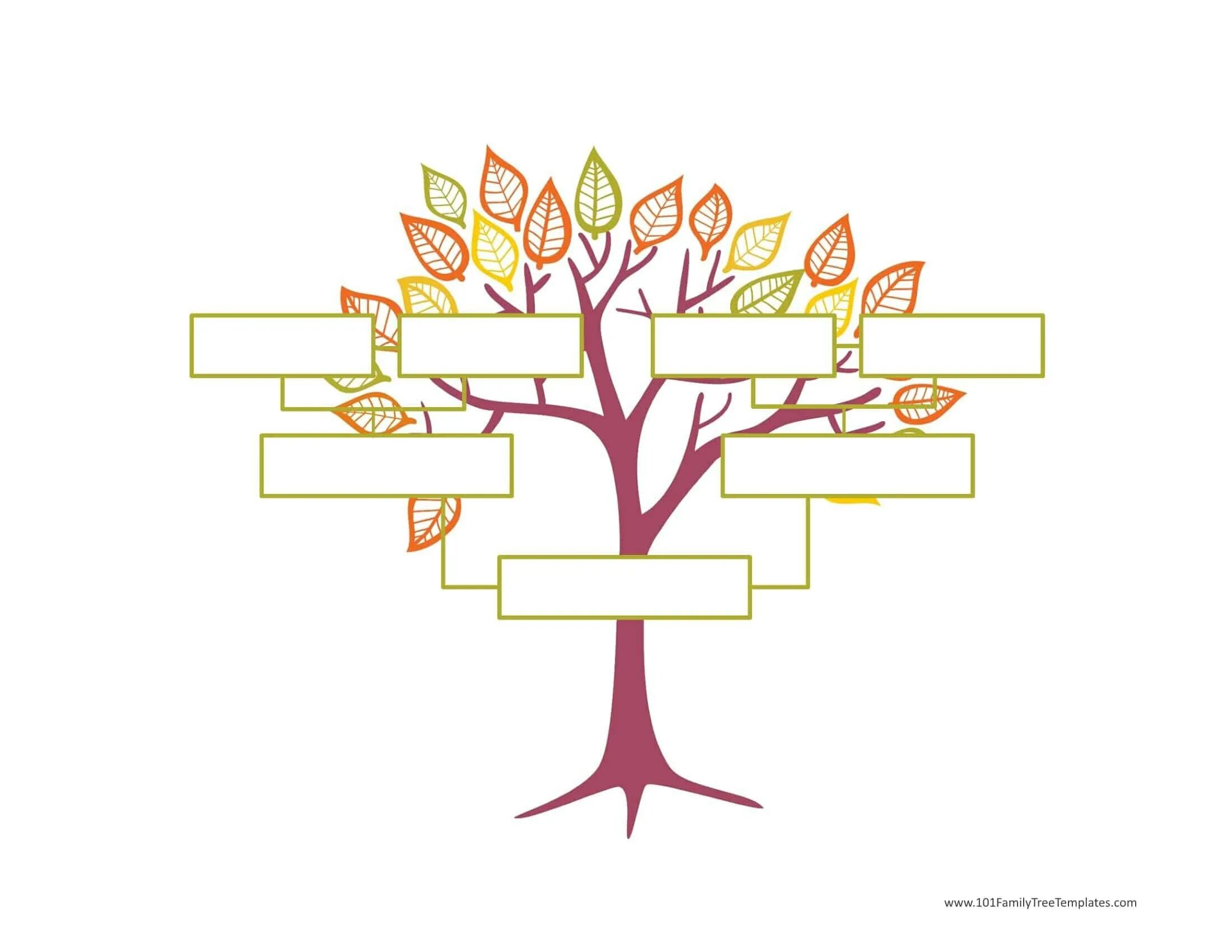 Древо потомков. Родословная генетическая дерево. Генеалогическое Древо Family Tree. Родословная из 3 поколений. Шежере родословная.