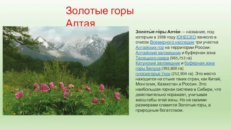 Алтай сообщение 4 класс окружающий. Всемирное наследие золотые горы алтая проект 4 класс. окружающий мир 4 класс золотые горы алтая. всемирное наследие золотые горы алтая сообщение. алтайские горы доклад.