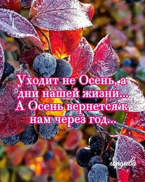 Не спеши так жизнь. О не лети так жизнь замедли шаг. о не спеши так жизнь слегка замедли шаг. о не спеши так жизнь. важен каждый миг.