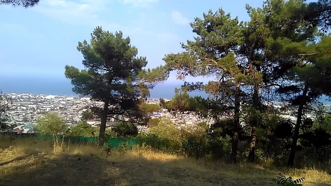 Сосновая роща дербент. Парк сосновый бор дербент. Парк сосновый бор дербент. Бор дербент. Башня в сосновом бору дербент.