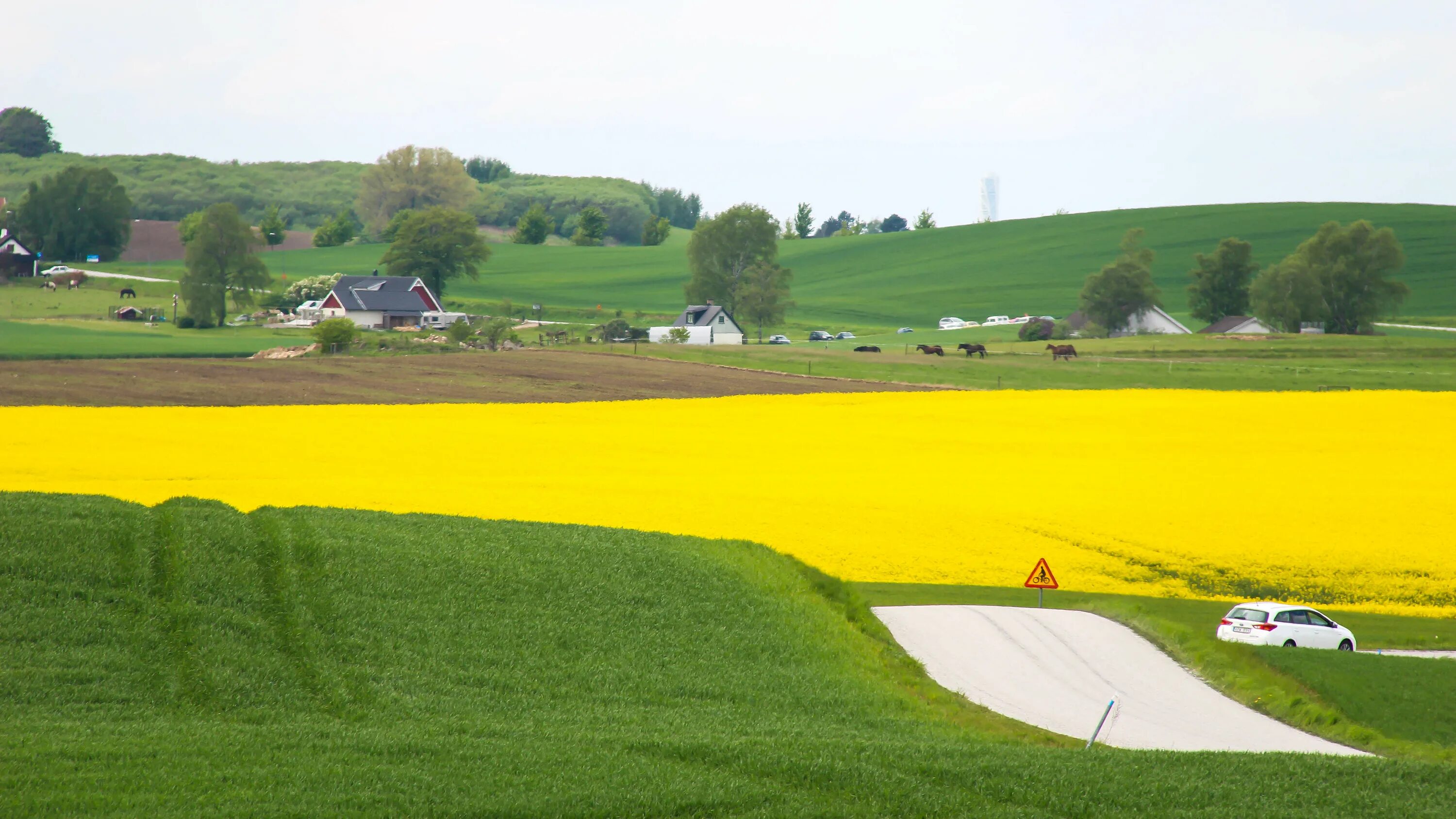 Коттеджный поселок рапс. Машина на Холме. Поле и дорога на ферму. Farm road