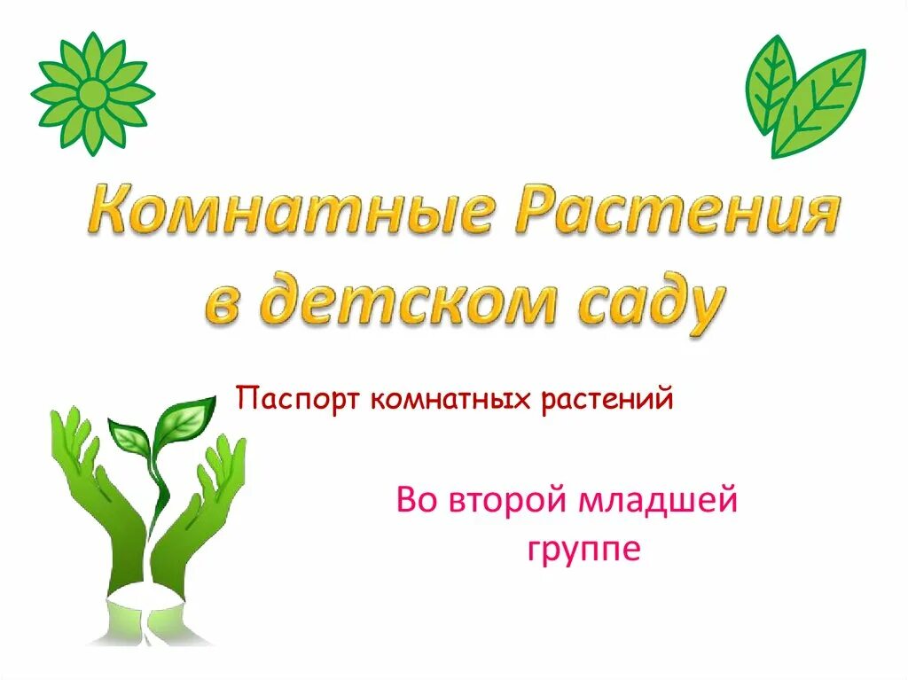 Комнатные растения презентация. Комнатные цветы презентация. Растения для детского сада в группе. Комнатные растения в доу. Комнатные растения в младшей группе детского сада.