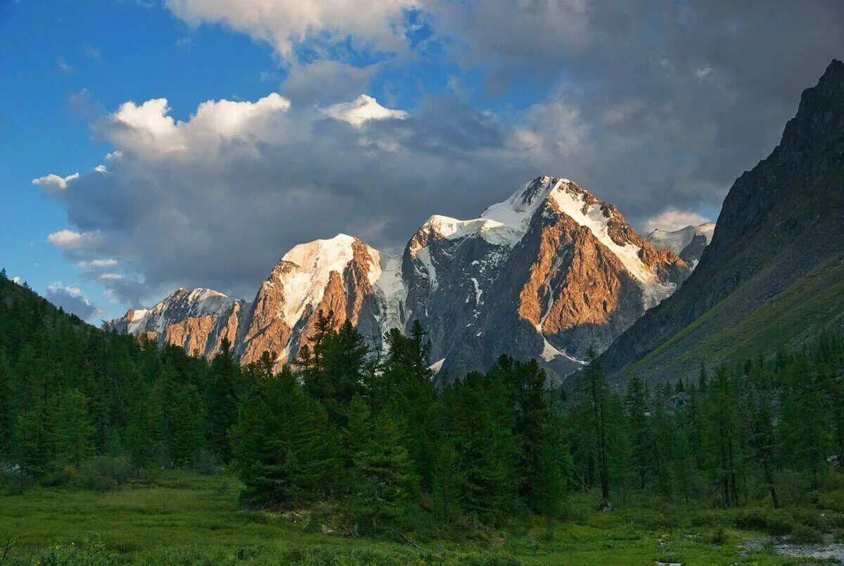 Путешествия природа россии. Горы Алтайского края. Алтайские горы России. Горные вершины Алтая. Гора Биданка горный Алтай.