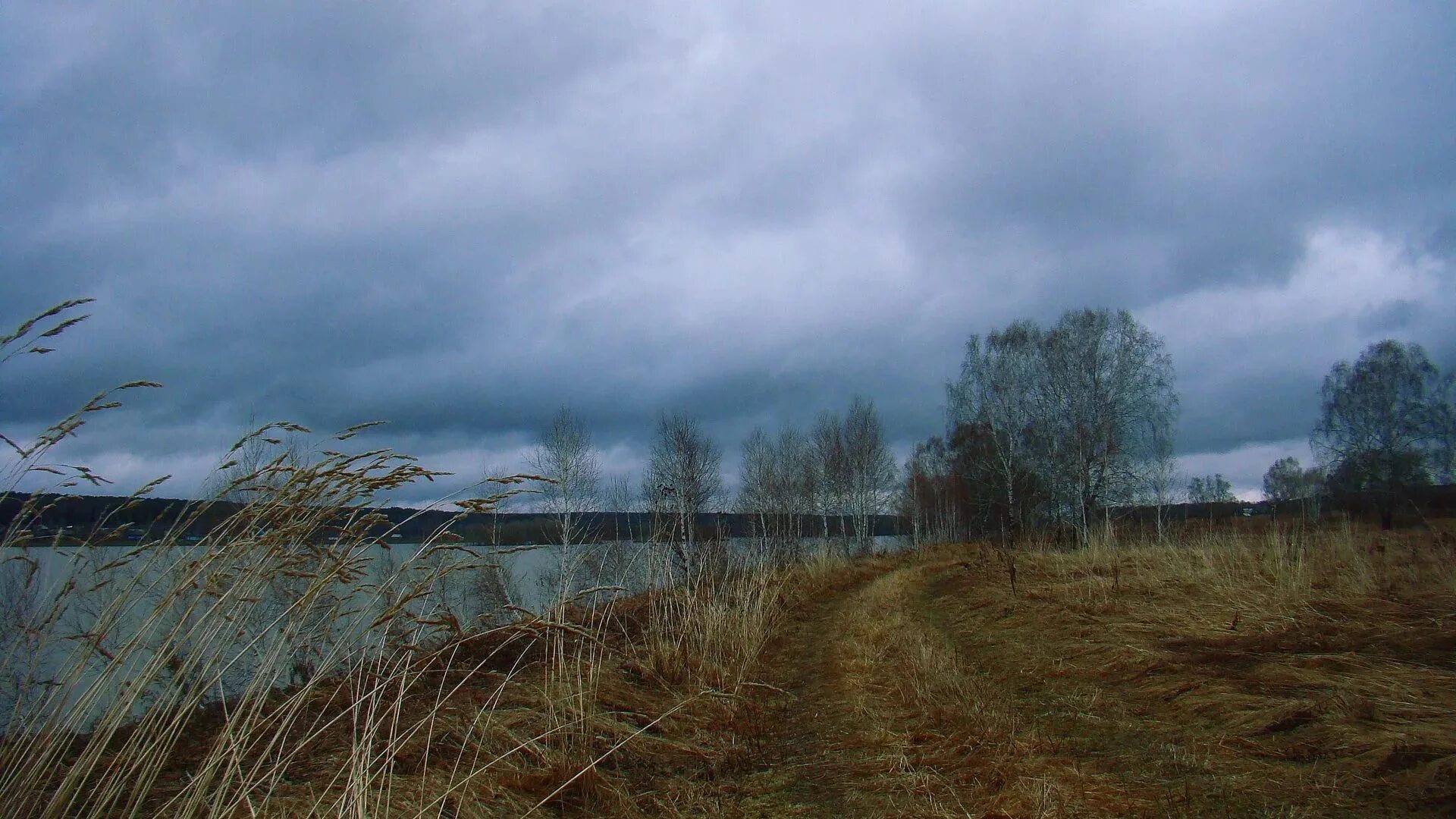 Прохладное лето в россии. Пасмурная осень. Поле пасмурно. Пасмурный день. Пасмурно в деревне.