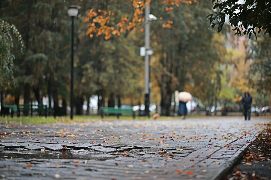 Октябрь дождь. Сентябрь дождь. 1 Октября, природа, дождь,. Осенний дождь Сокольники.