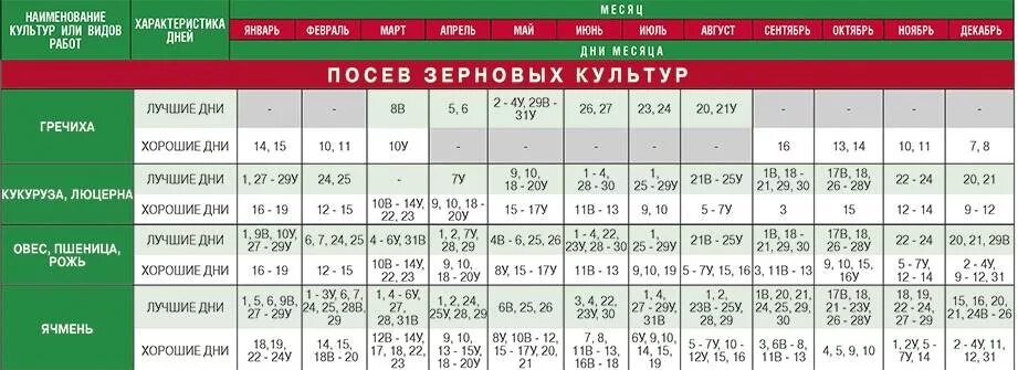 профессиональные упаковки семян. интнрнет магазин посадика. палочки с конусом для посадки суккулентов. новые семена интернет магазин. посев бай интернет магазин семена.