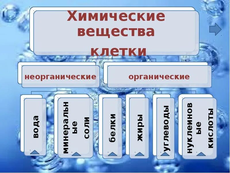 Что такое органические и неорганические вещества. Химический состав клетки 5 класс. Химическая организация клетки неорганические вещества клетки. Органические и неорганические вещества клетки 5 класс. Химический состав клетки 5 класс биология.