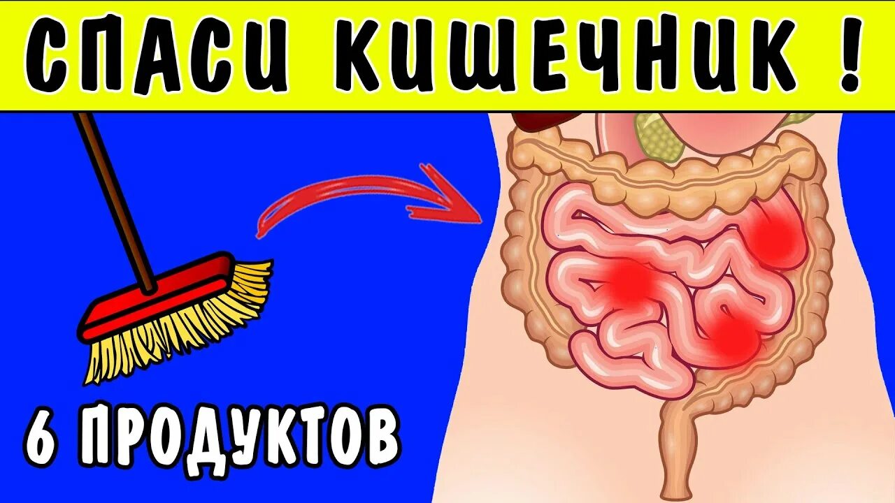 Загрязненный кишечник. Очистка тонкого кишечника.