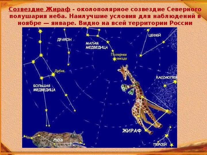 Созвездие Жираф. Весенние созвездия Северного полушария. Созвездие Жираф на небе. Легенда о созвездии жирафа. Самую северную звезду северного полушария