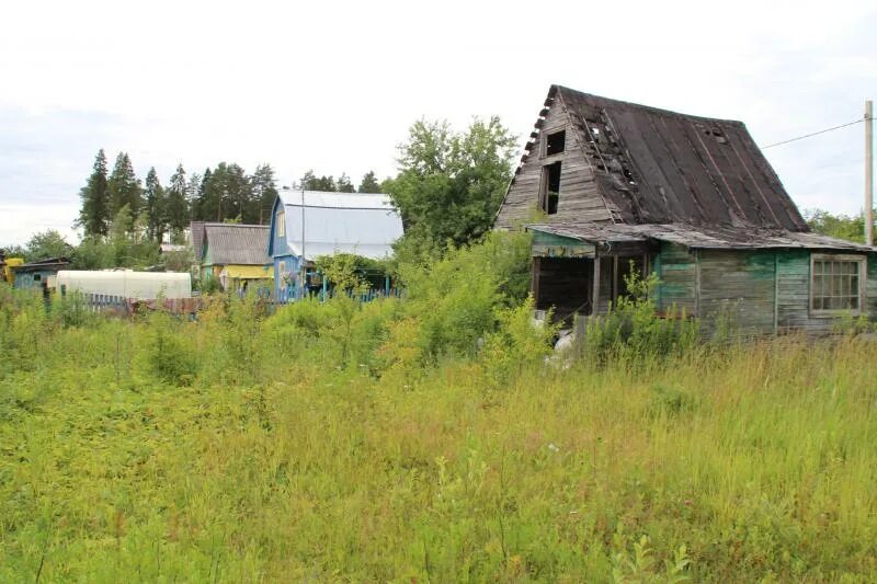 Купить снт александровские. Карабаново, СНТ Майский, Владимирская область. Майский Александровский район. СНТ Майский Иваново.