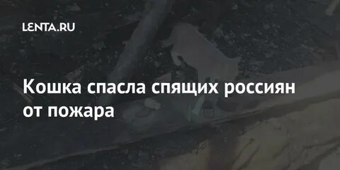Спасая сны стадия 3