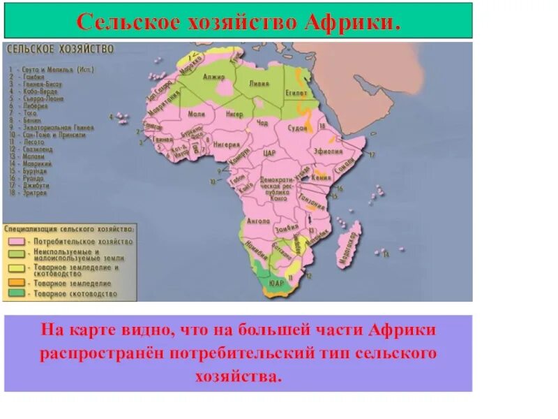 Характеристика хозяйства стран африки. Структура хозяйства африки. Хозяйство африки кратко. Сельское хозяйство южной африки таблица. Отрасли специализации сельского хозяйства северной африки.