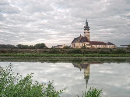 Сокаль