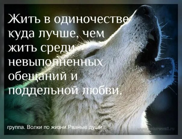 Жить в одиночестве. Одиночество лучше. Одиночество лучше чем. Одиночество лучший друг.