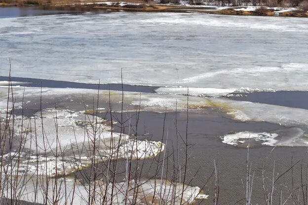 Освободиться ото льда. Ледоход на реке. Природа в апреле ледоход на реке. Река Вятка. Ледоход фото.