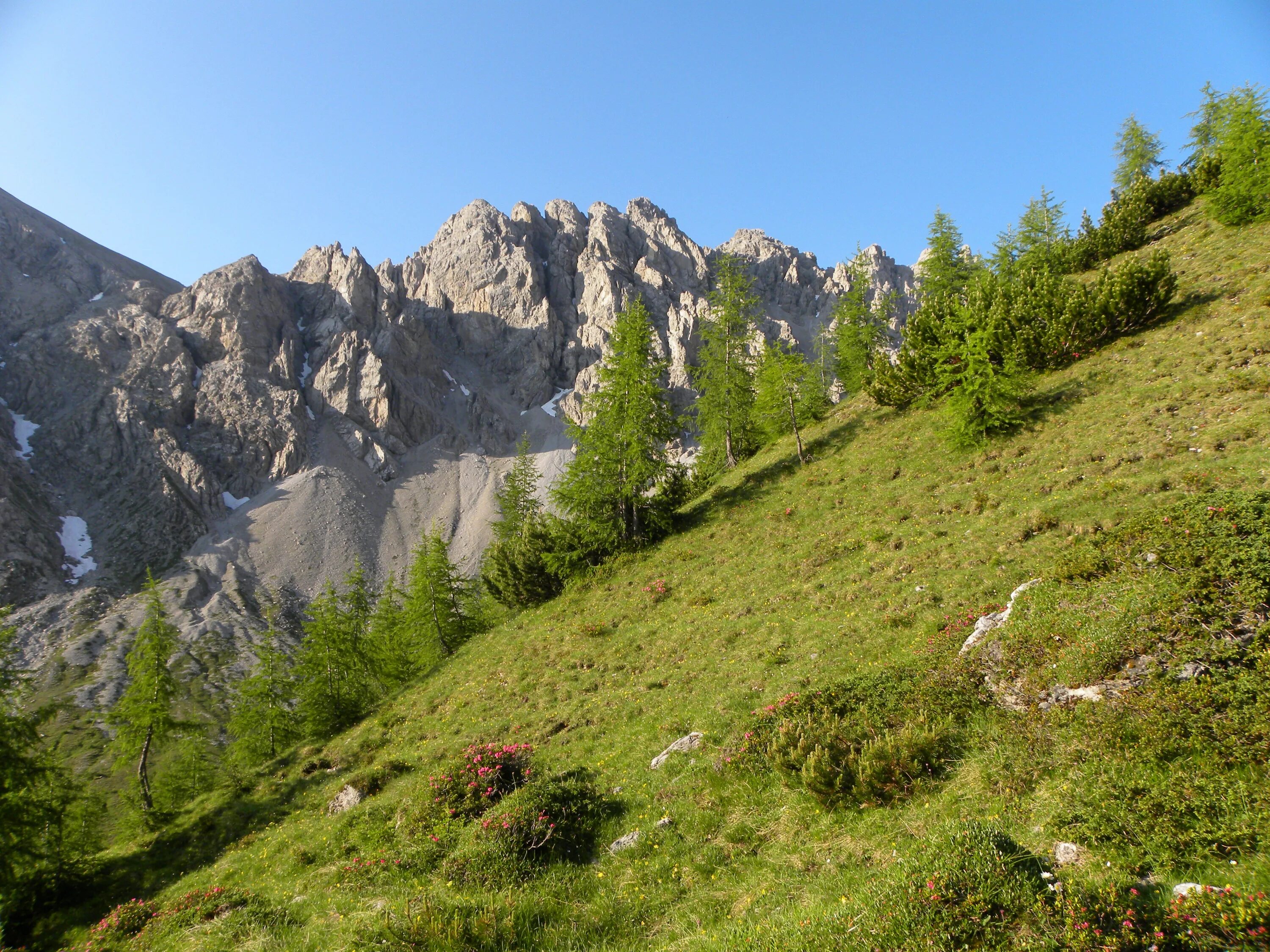 Альпийские Луга Швейцария. Родопы (горы). Картинки гор. Узкая Долина в горах. Везде работа на горах в долинах рощах
