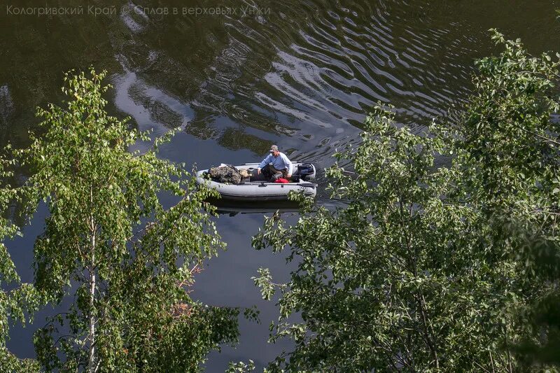 Уровень воды в реке унжа в макарьеве. Сплав на реке Унжа фото. Кологривский. Вода Унжа. Рассказ о реке Унже.