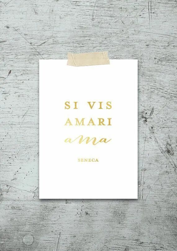 Si vis amari ama тату на руке. Si vis amari ama тату. Si vis amari. Надпись тату si vis amari ama. Si vis amari ama тату.