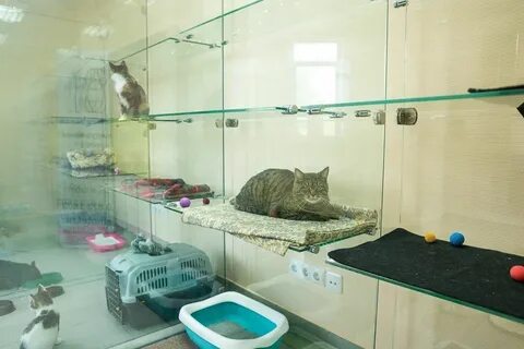 Передержка ростов