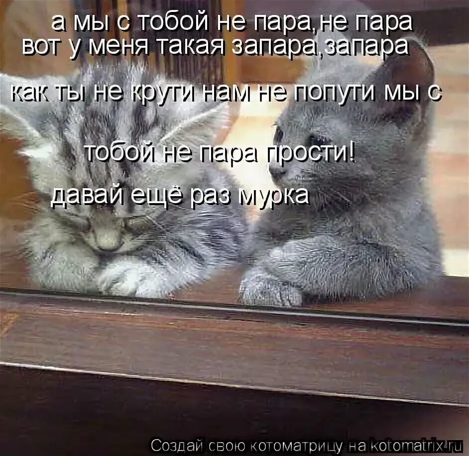 белая черемуха с нотами. мы с тобой не пара прости. текст песни. горбатый место встречи изменить нельзя. вот такая вот у нас запара.