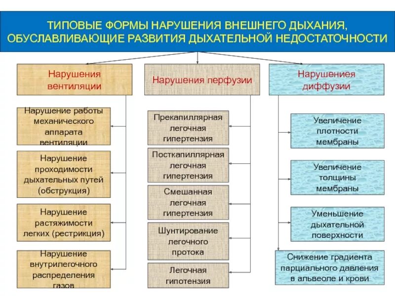 Дыхание биота причины. Типы дыхания биота чейн стокса патологические куссмауля. Дыхание биота патогенез. Центрогенной дыхательной недостаточности. Характер дыхания.