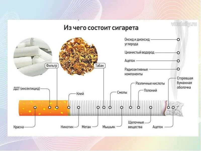 Из чего состоит никотин. Из чего состоит сигарета. как называются части сигареты. курение из чего состоит сигарета. сигарета в разрезе состав.